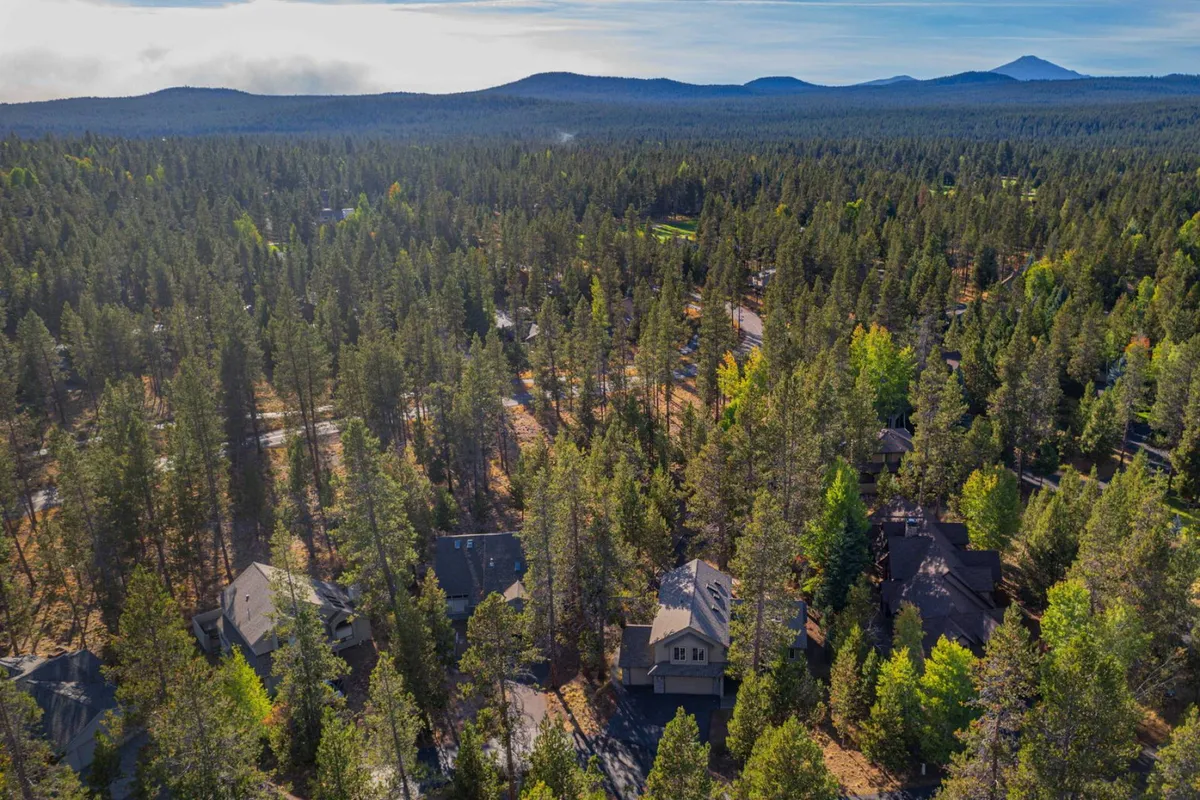 An expansive aerial view of dense pine forest, winding neighborhood roads, and residential homes nestled within the greenery. The sense of space and connection to nature is palpable, with the forest stretching towards distant mountains.