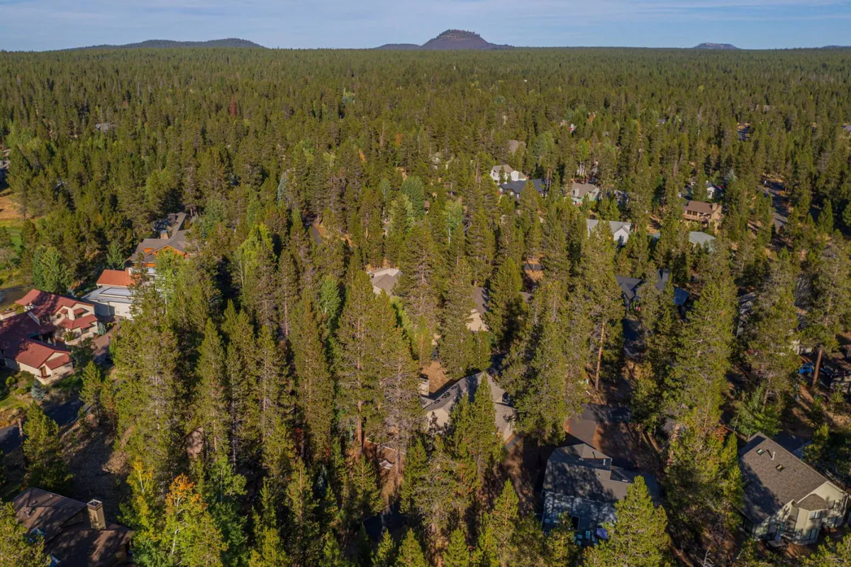 A panoramic view over a dense forest with scattered homes and majestic distant mountains under a wide sky. The setting conveys expansive outdoor exploration and the pristine natural environment unique to the region.